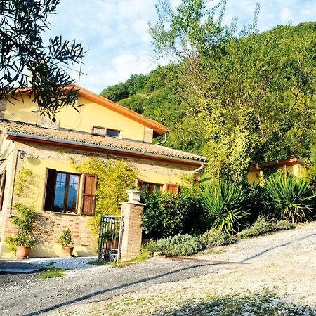 Villa Mischianti 구비오 외부 사진