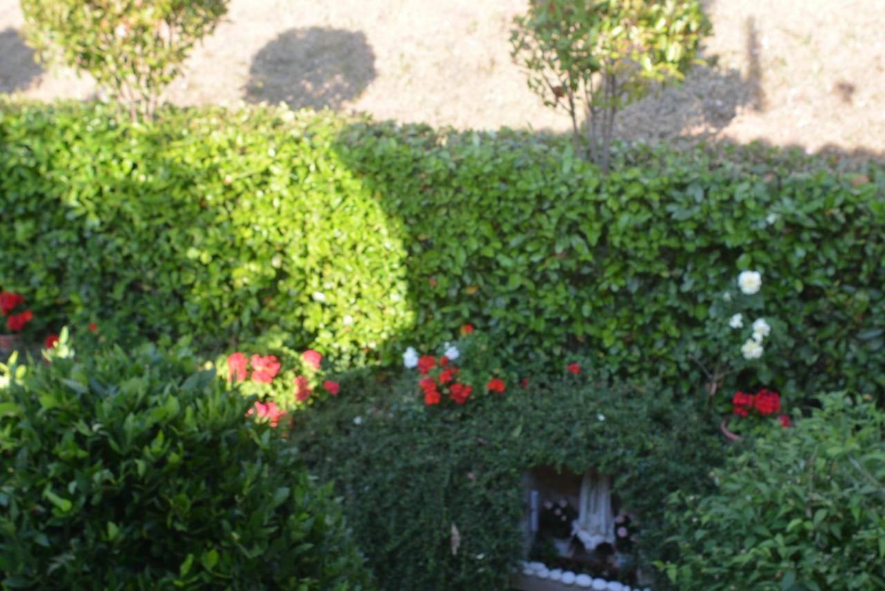 Villa Mischianti 구비오 외부 사진