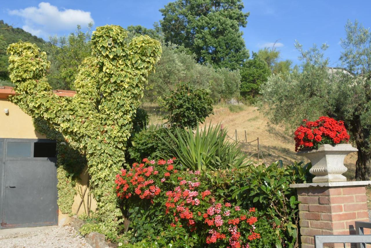 Villa Mischianti 구비오 외부 사진