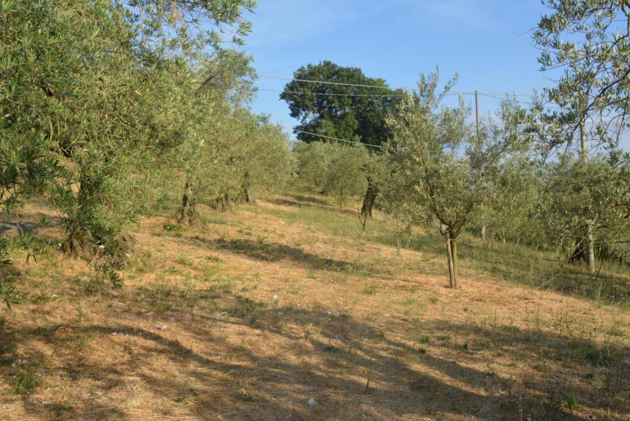 Villa Mischianti 구비오 외부 사진