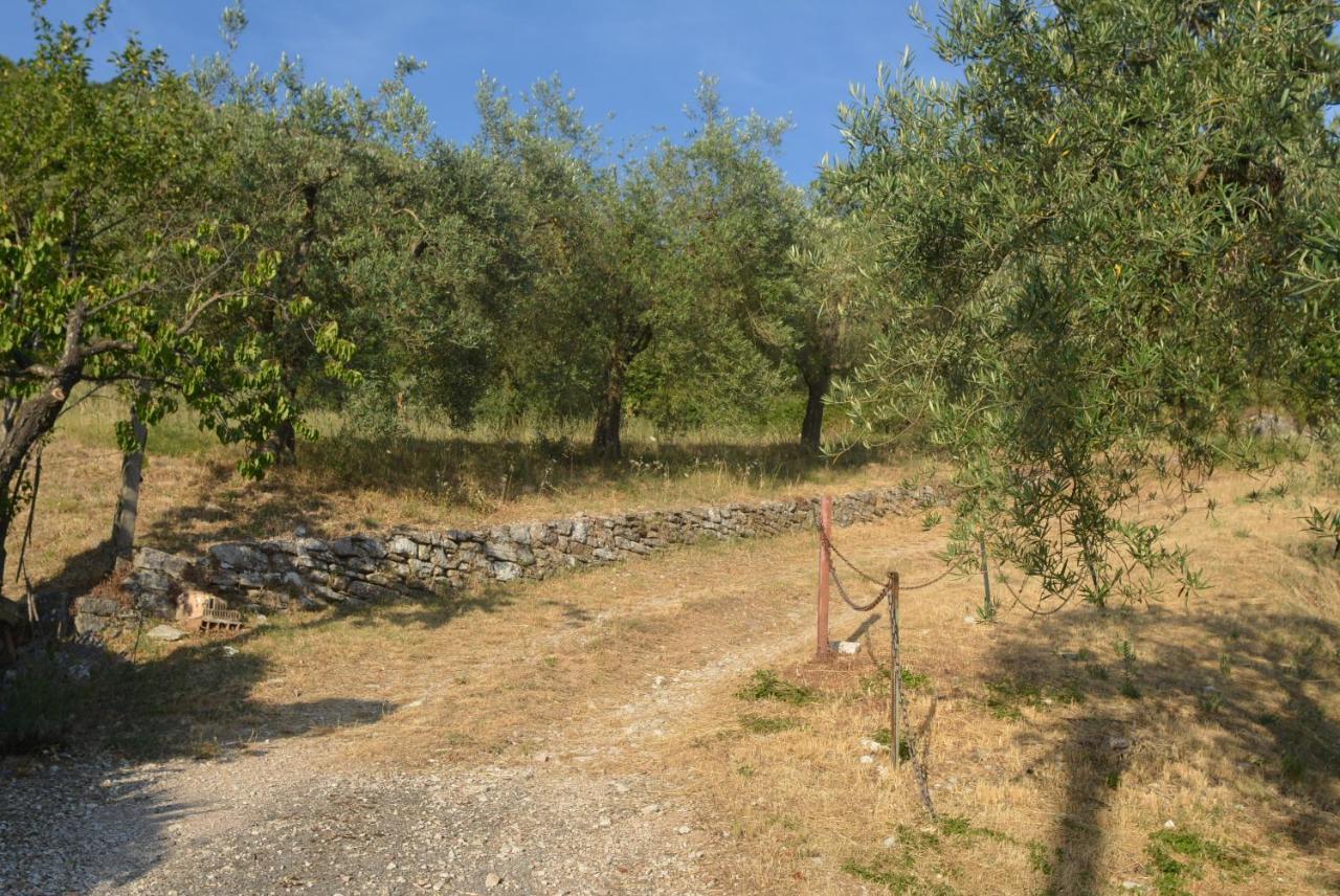 Villa Mischianti 구비오 외부 사진
